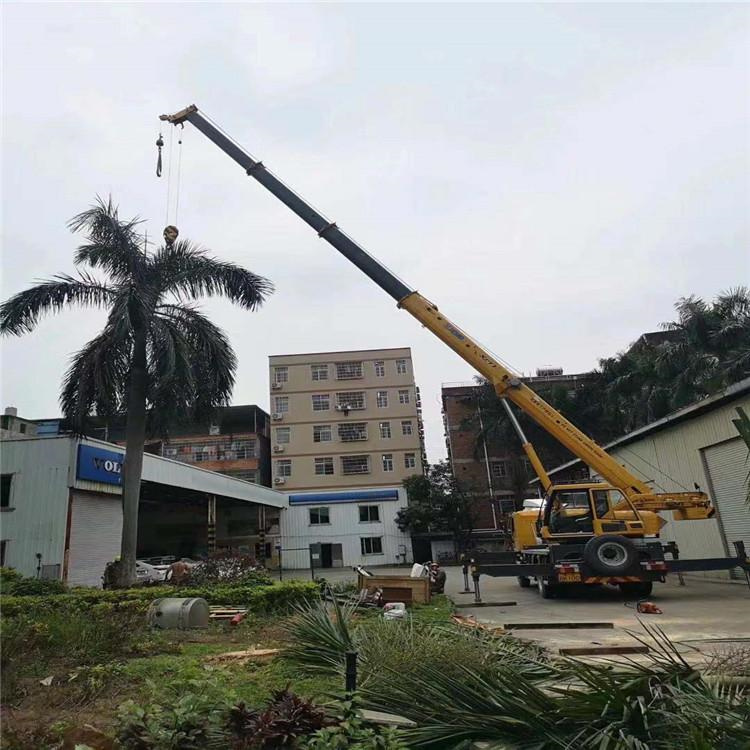 合浦吊车吊大树几种方法